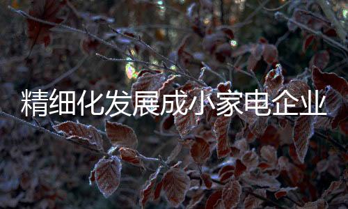 企业只有实现精细化管理