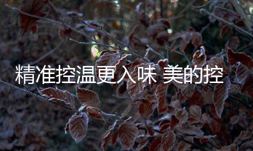 很难在短时间内把食物炒熟