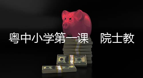 小学并通过网络直播方式