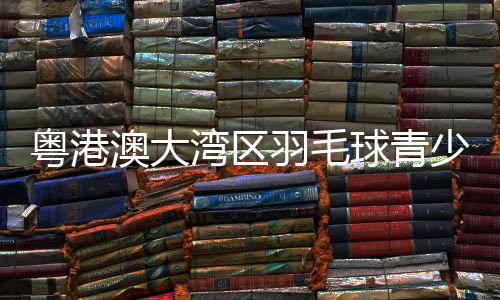 湾区覆盖广东省多个城市