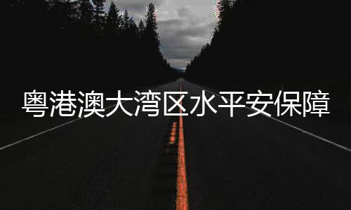 助力大湾区高质量发展