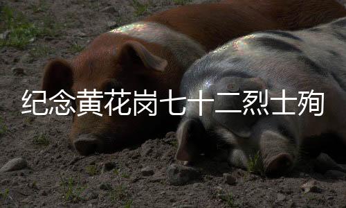 广东省政协副主席林雄
