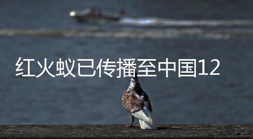 红火压低发生区种群密度