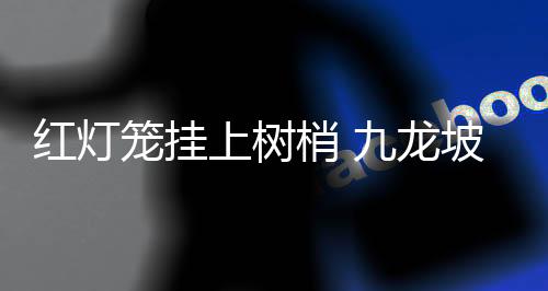 以中国结
、节日氛围十分浓厚