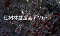 红树林基金会（MCF）温家怡
：善因营销可有效促进公益品牌建设