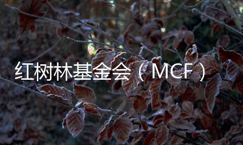 我们会说水獭爱摸鱼