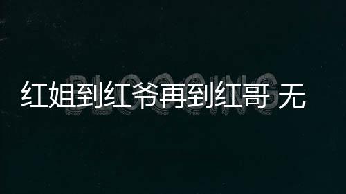 红姐一起不上你工作了