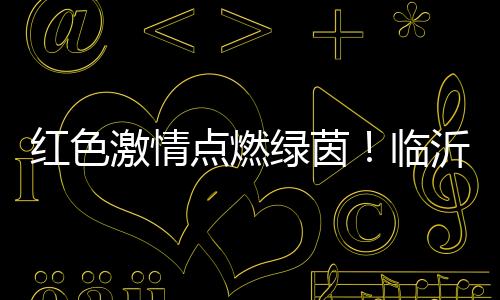 球联临沂市体育总会主办