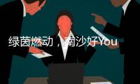 绿茵燃动，南沙好Young! 2025“百年名校杯”今日开幕