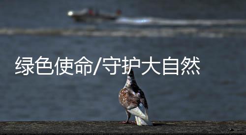 原来还有其他的大自生活方式