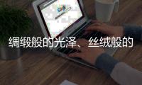 绸缎般的光泽

、丝绒般的质感——天鹅绒