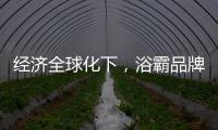 经济全球化下	，浴霸品牌如何顺应市场发展?