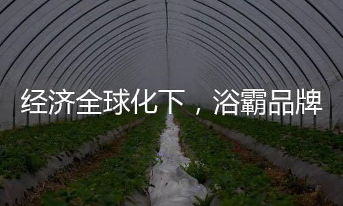 浴霸企业离不开工匠精神
