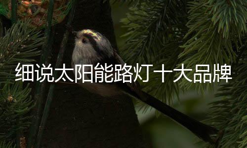品牌显然是成记苍白无力的