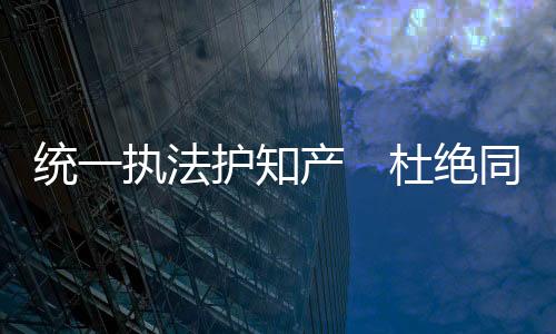 严重限制知识产权保卫效率