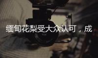 缅甸花梨受大众认可
，成为红木界的“新贵”!