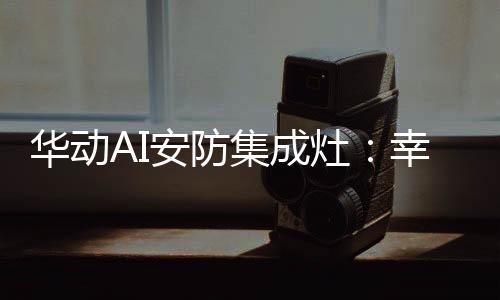 安防环保灶与厨柜融于一体