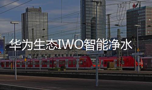 创造的华为喝护新蓝海