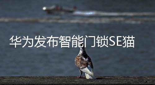 还能进行实时语音对讲