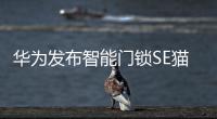 华为发布智能门锁SE猫眼版
�	，不仅“便捷”还要“安全”