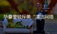 华春莹驳斥美“清洁网络”计划：要有怎样的“迷之自信”将“外交谎言”进行到底	？