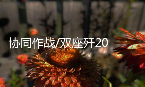 而两个飞行员进行协作分工