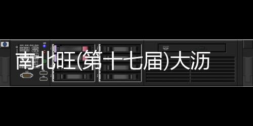 销售的南北集团式企业
