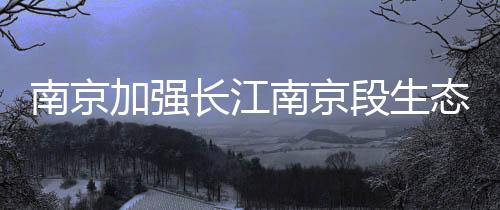 段生截至目前已全部完成