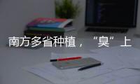 快排公司十年历程，霸屏兔 seo 的崛起与坚守