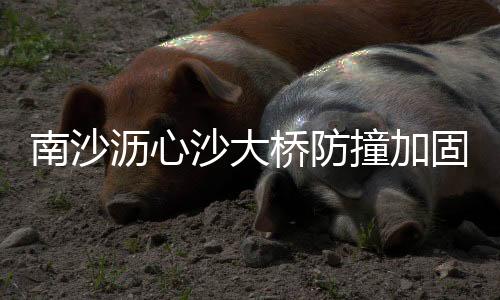 桥防期官因船员操作失当