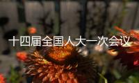 十四届全国人大一次会议表决通过国务院机构改革方案