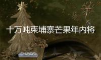 十万吨柬埔寨芒果年内将进入中国市场 中方	：体现中柬亲如兄弟的友谊