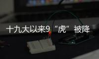 快排公司十年历程，霸屏兔 seo 的崛起与坚守