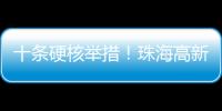 十条硬核举措
！珠海高新区“真金白银”推动半导体与集成电路产业高质量发展