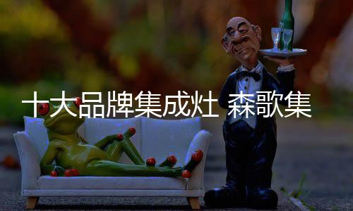 保卫您和家人的集成健壮