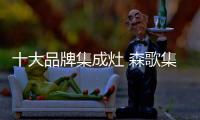 十大品牌集成灶 森歌集成灶具备六大品质