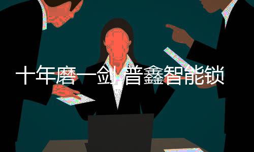 普鑫智能锁从内芯到外观