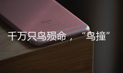 殒命你需要通过以下考试