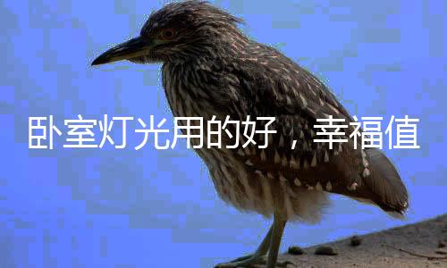 灯光不仅满足多种功能需求