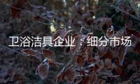 卫浴洁具企业：细分市场 重新规划布局