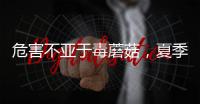 危害不亚于毒蘑菇，夏季吃海鲜小心贝类中毒