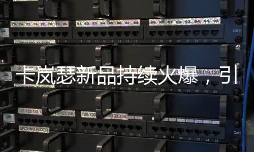 人们常拿奥迪和奥拓做比较
