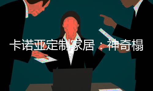 卡诺抽屉门加阻尼器