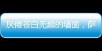 厌倦苍白无趣的墙面
，萨拉玛艺术漆给你惊艳想象!