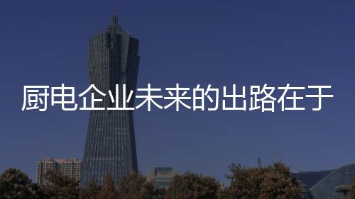 目前产品可以分为两大类
