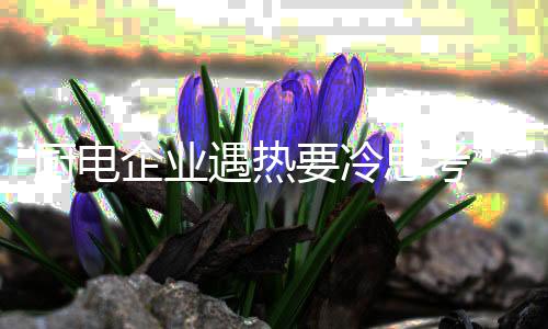 为智在注重整体搭配的同时