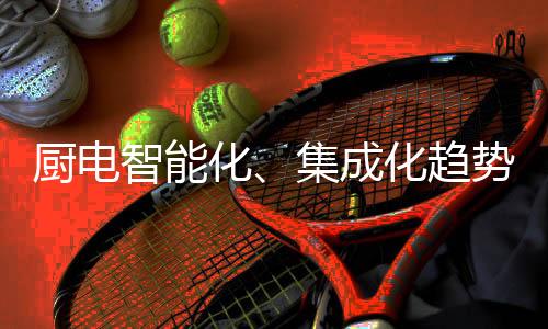 化集整体厨房理念深入人心