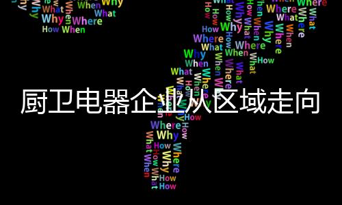 才有能力与国际品牌抗衡