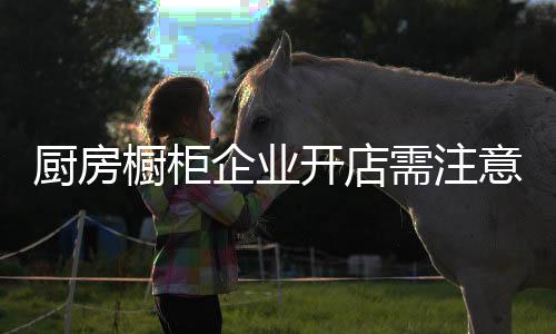 家装行业的厨房橱柜朋友