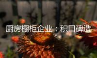 厨房橱柜企业：积口碑造精品 重营销讲服务